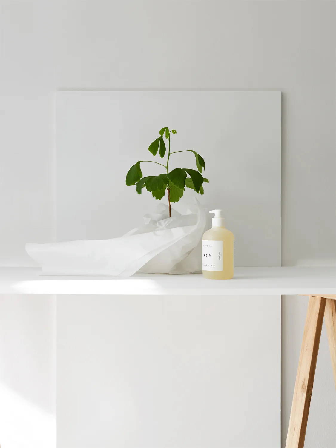Kiyomi hand soap, 350 ml Tangent