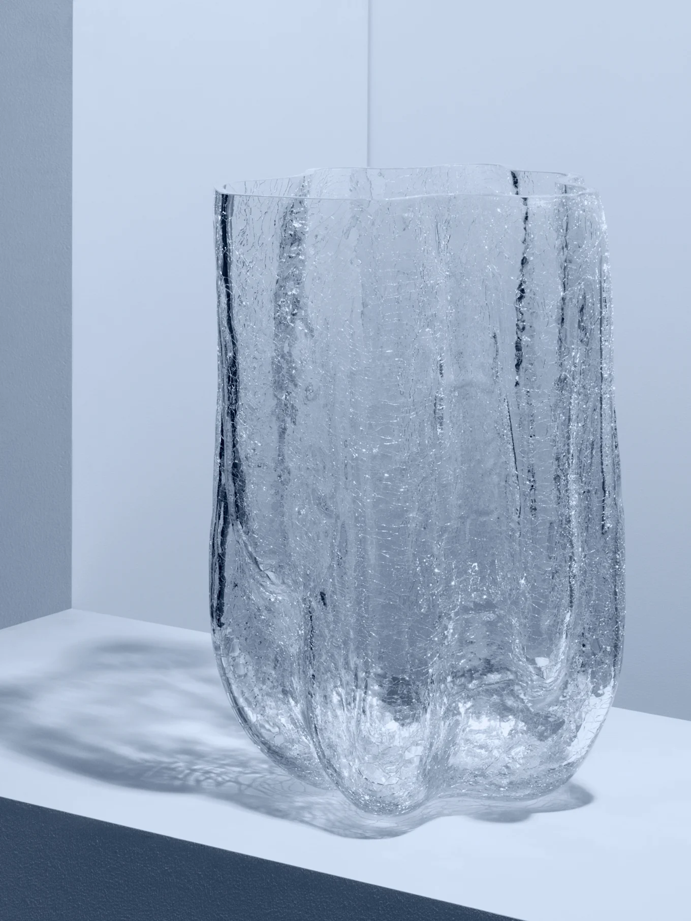 Clear, textured glass vase with an irregular shape on a white surface.