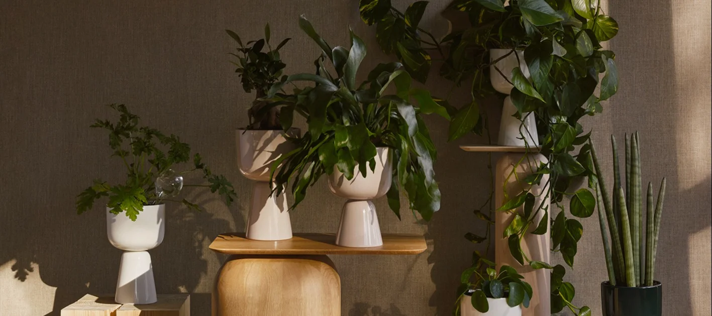 Variety of green potted plants in modern white and beige planters on wooden shelves.