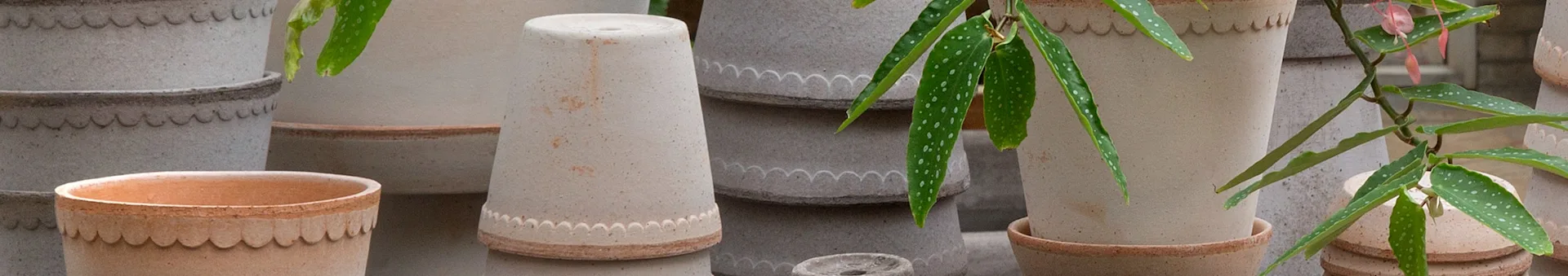 Terracotta pots with scalloped trim, some stacked, with a spotted-leaf plant and pink flowers.
